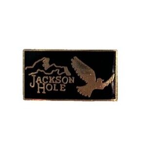 Jackson Hole Travel Pin Souvenir Wyoming Mountains Bird Eagle Black Gold
